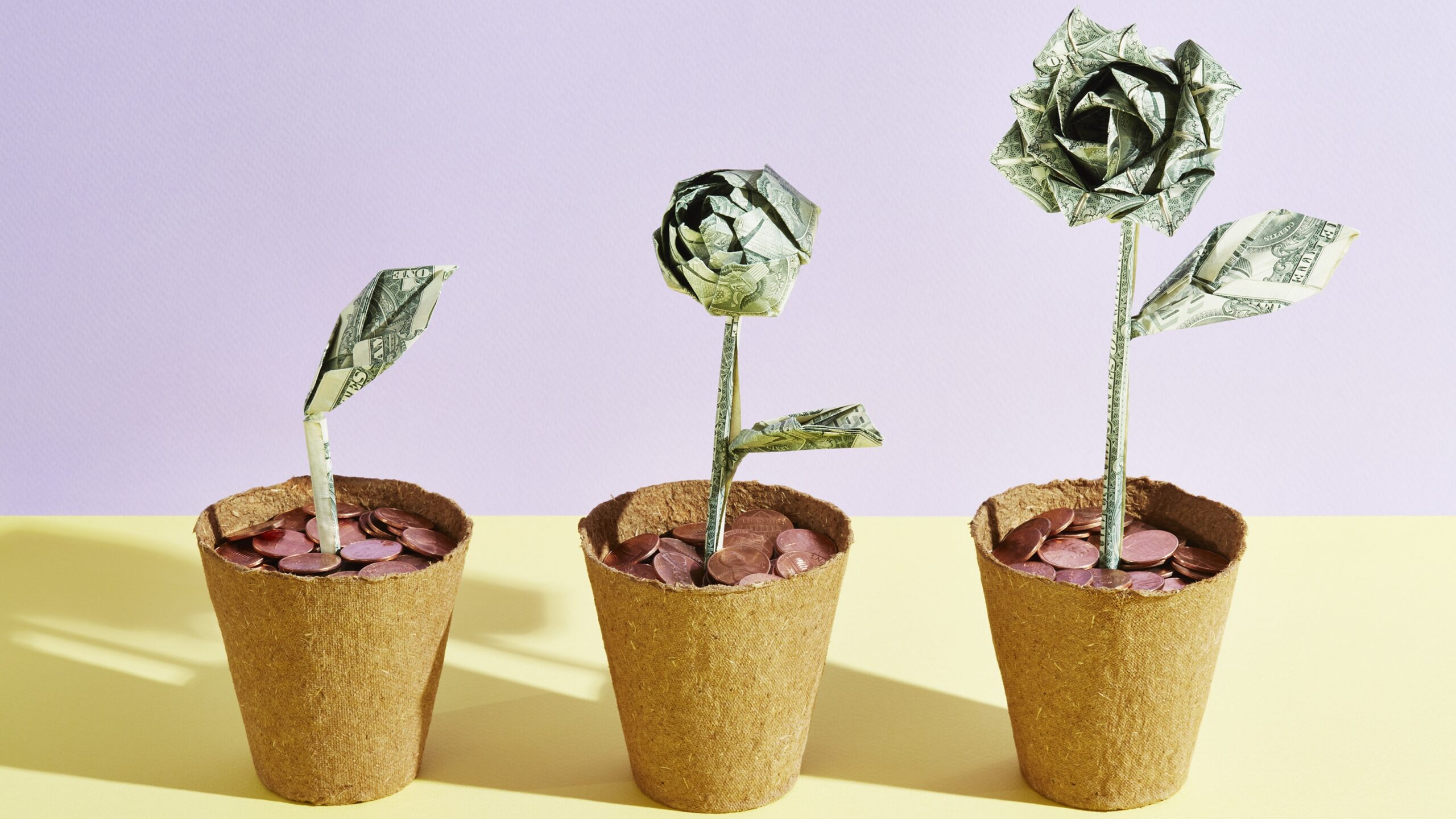 Three origami flowers in various stages of growth made from dollar bills.