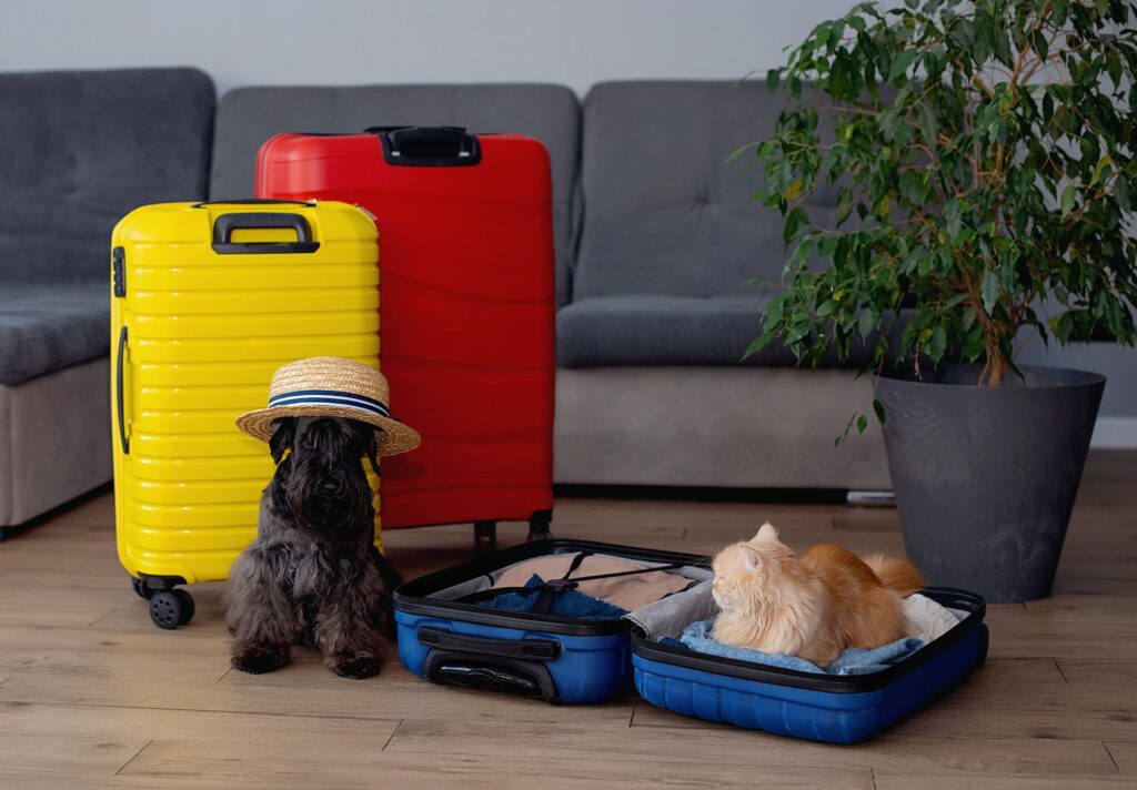 Comment prévenir une urgence lorsque vous voyagez avec votre animal de compagnie