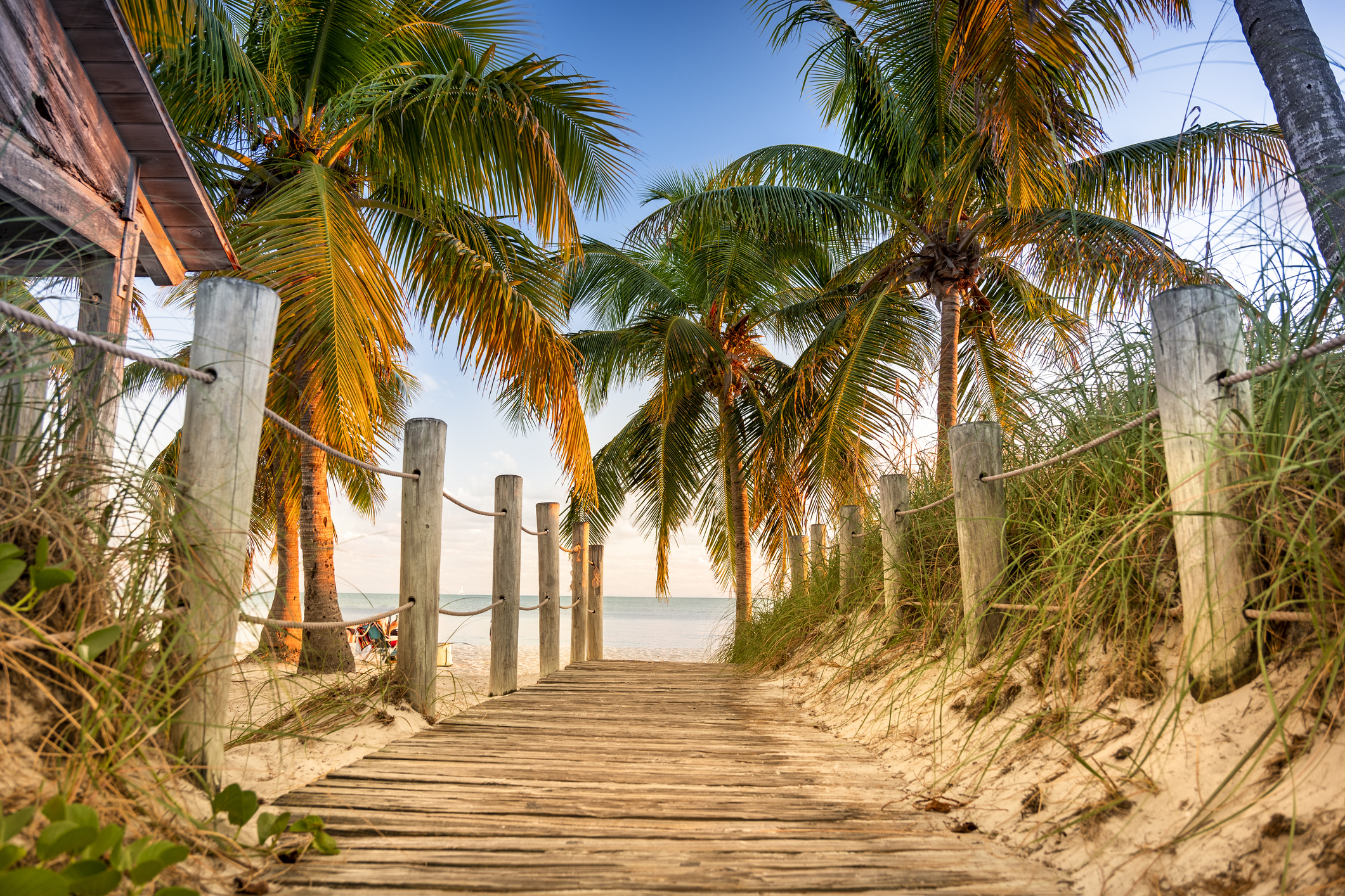 Voie bordée de palmiers jusqu'à la plage Smathers dans les régions tropicales de Key West en Floride