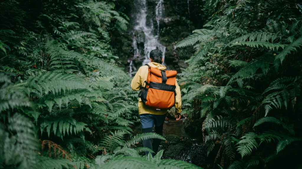 Étapes pour vous aider à traverser la jungle des inscriptions ouvertes au travail