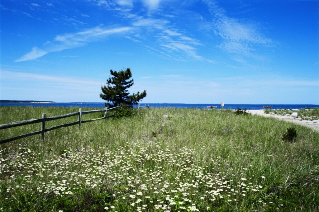 Vous n'avez pas besoin d'un milliard pour prendre votre retraite dans les Hamptons : trouver la bonne ville pour votre budget