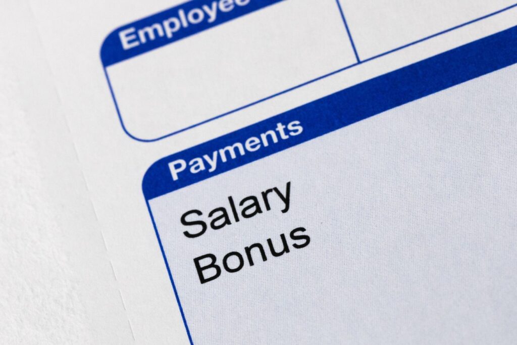 Check stub showing Salary and Bonus