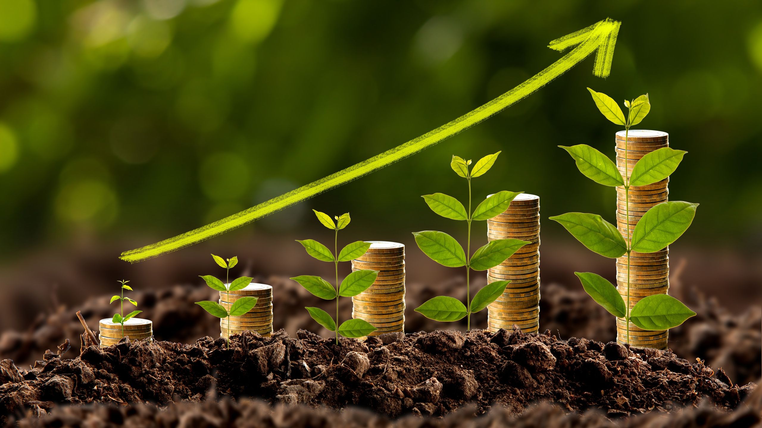 La stratégie dont vous avez besoin pour vaincre l’inflation et créer de la richesse