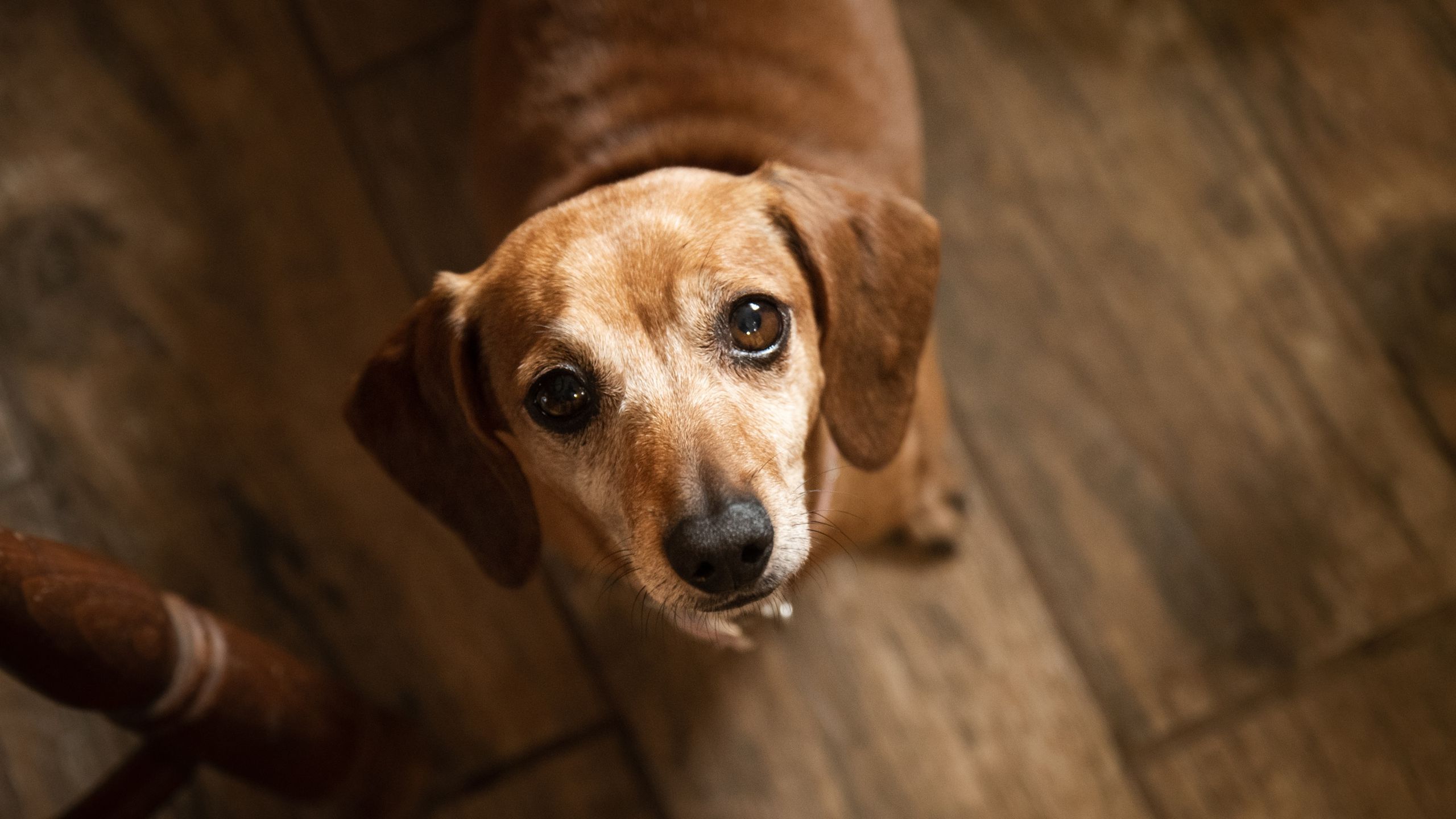 Question : Envisagez-vous une retraite de 20 ou 30 ans ?