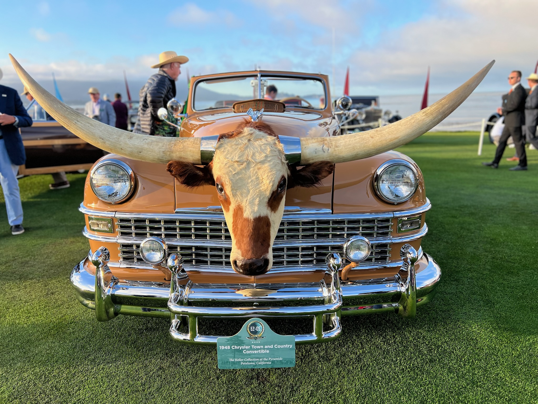 Vue de face d'une voiture décapotable Chrysler Town and Country de 1948, de couleur beige, avec la tête et les cornes d'un Texas Longhorn.