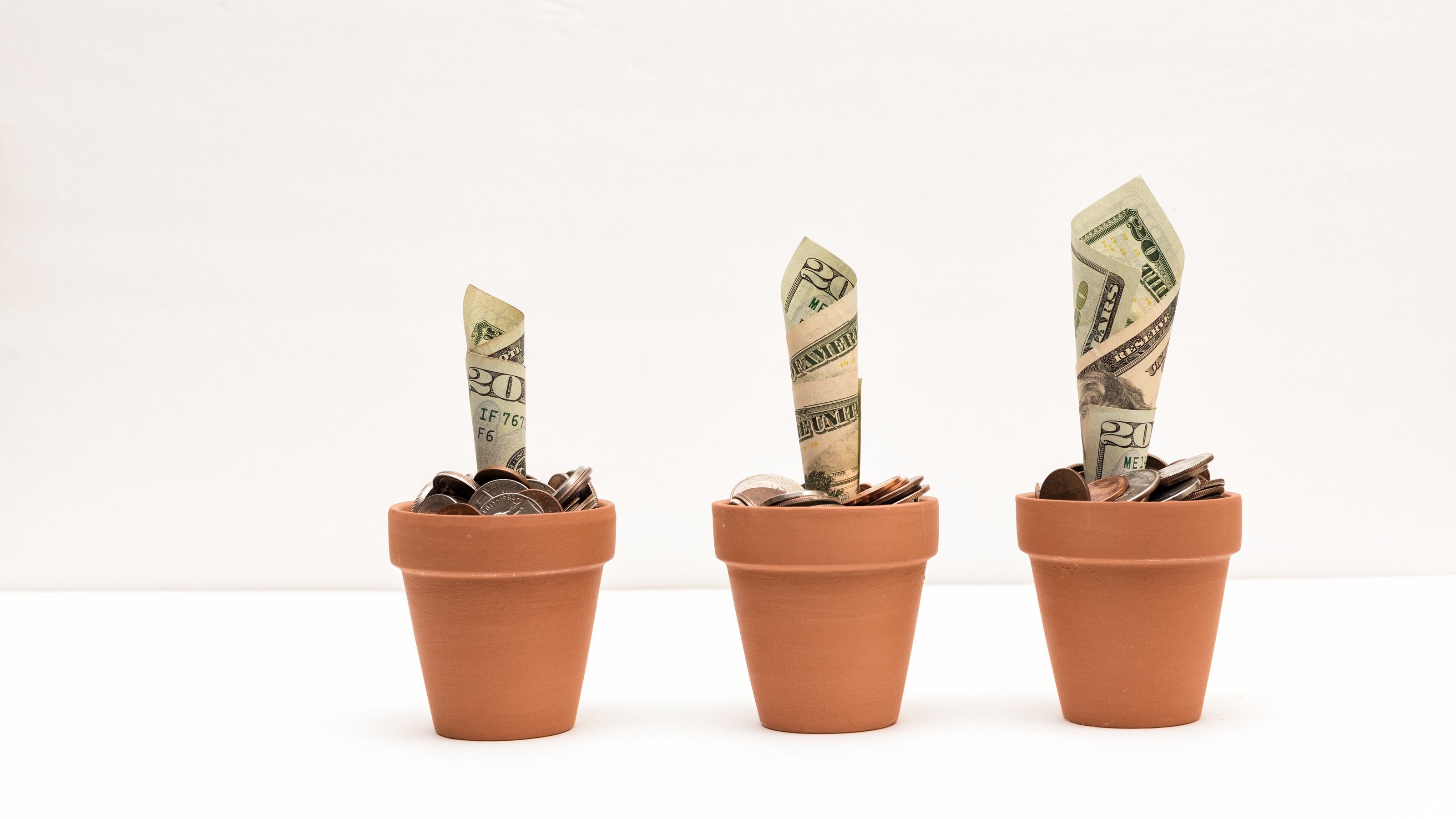Des billets de vingt dollars roulaient et étaient coincés dans des pots de pièces, comme s'ils grandissaient.