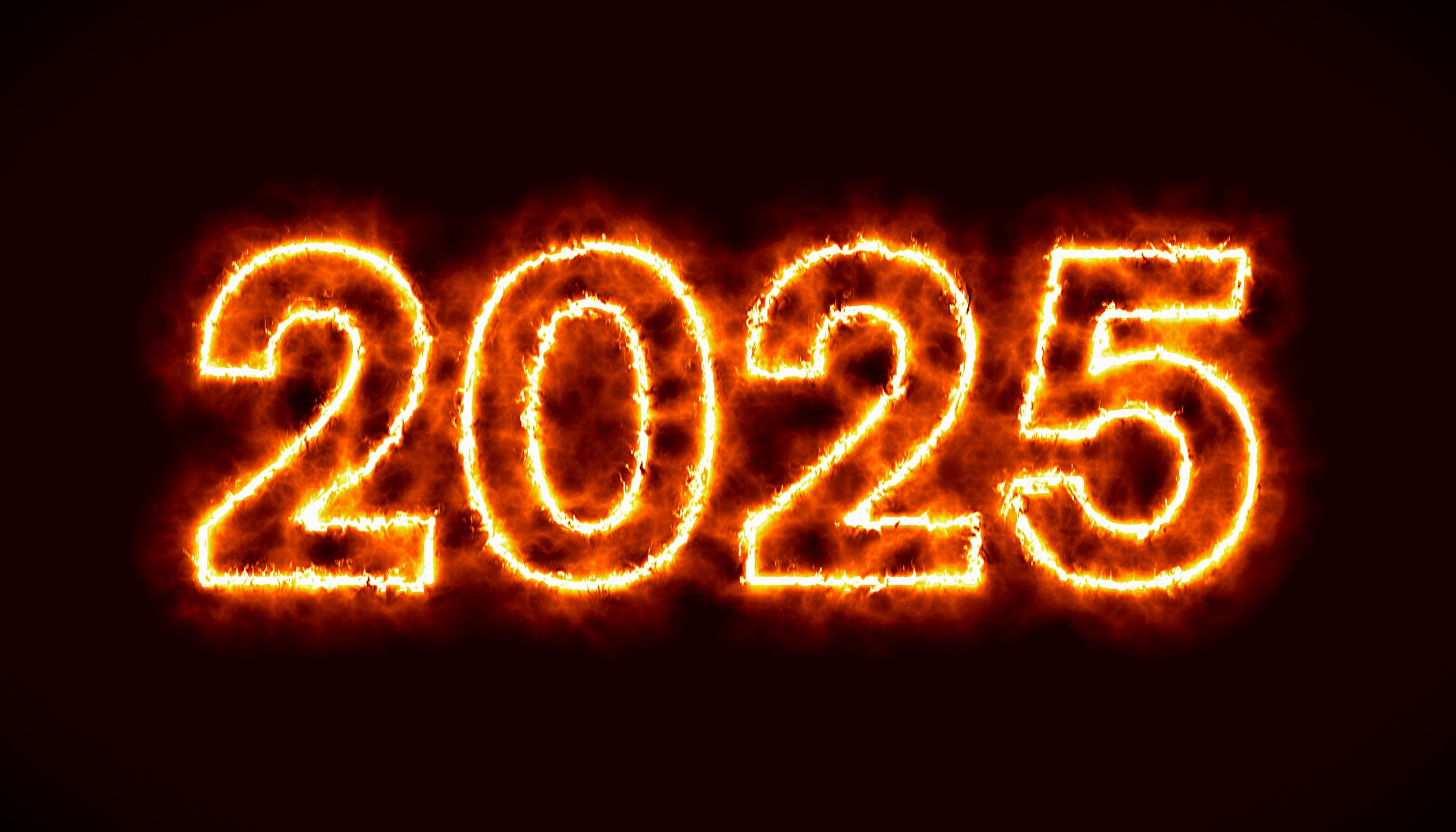 Ce sont les actions S&P 500 les plus en vogue de l’année