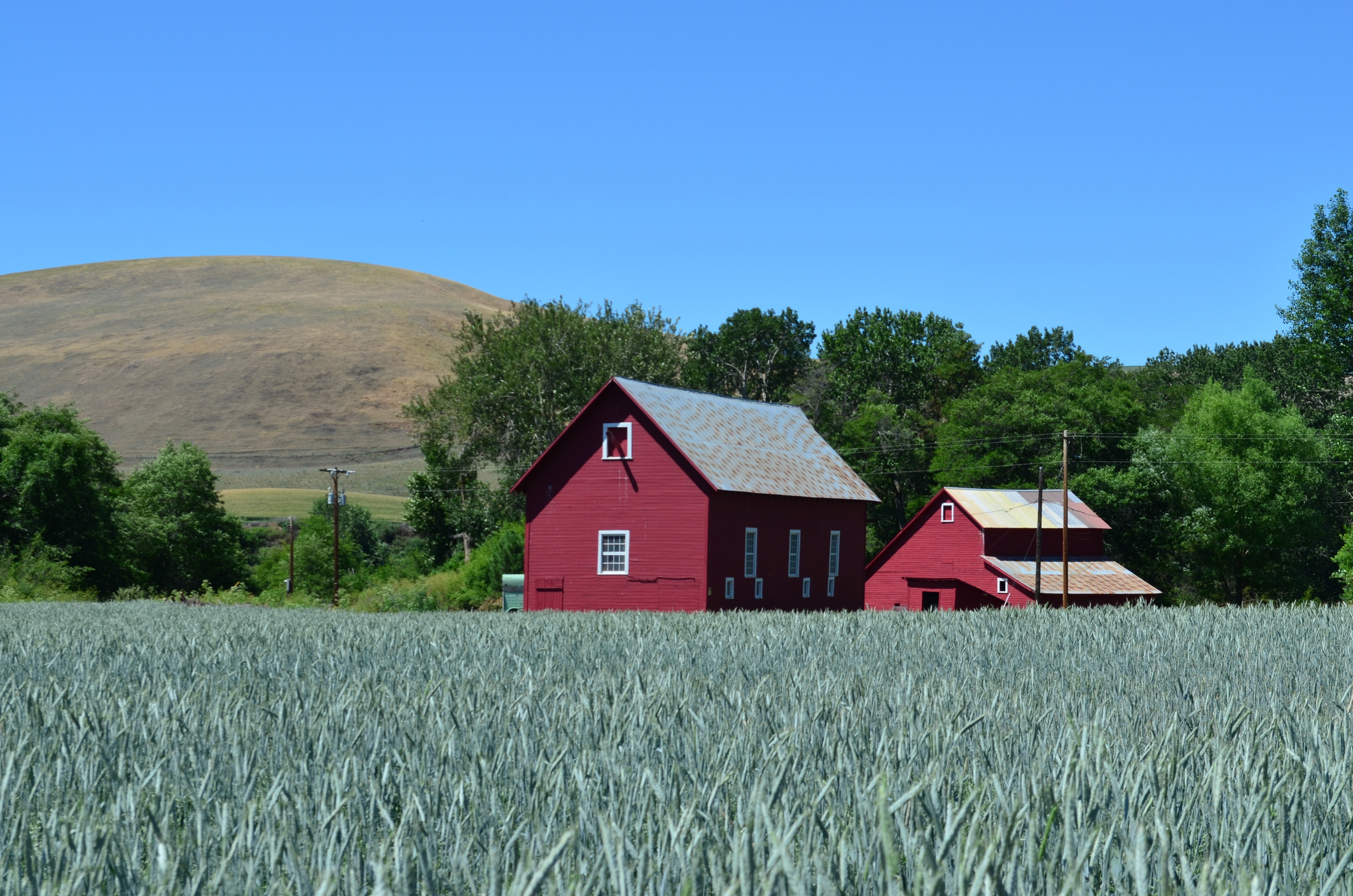 Grange Palouse rouge dans un champ avec des collines en toile de fond
