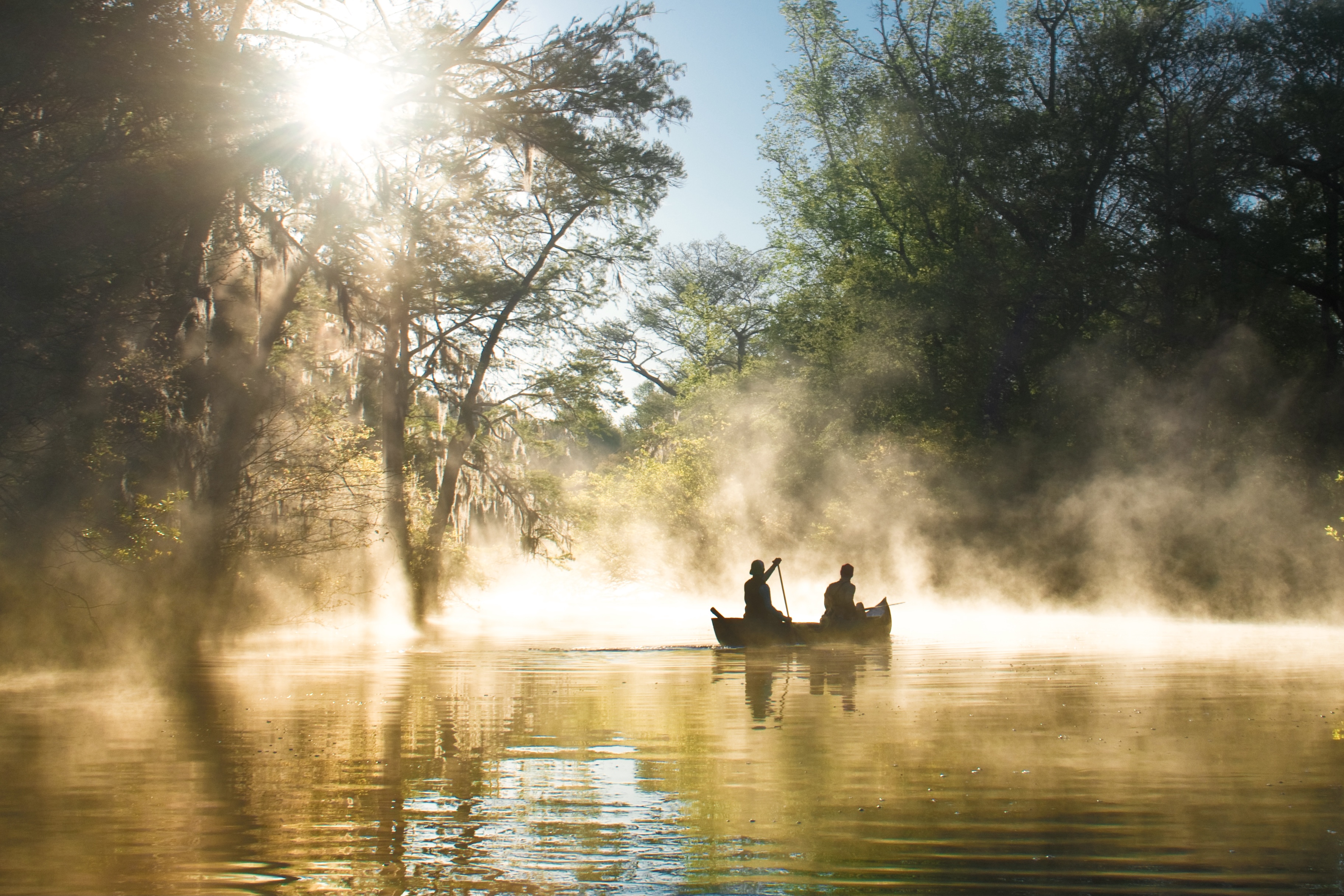 une photo du parc national des Everglades