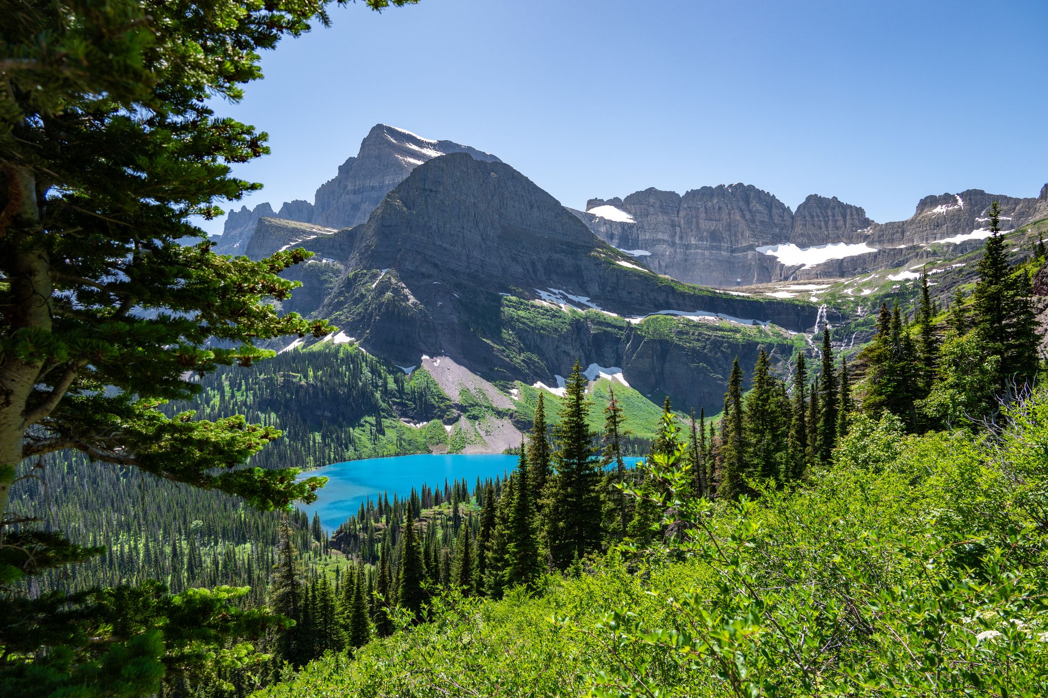 Choc du Park Pass : des frais de 100 $ frappent les visiteurs internationaux des parcs nationaux américains