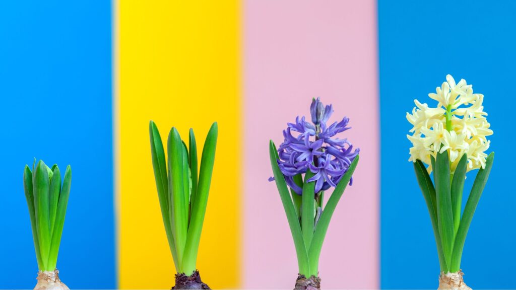 Ces petites habitudes financières peuvent vraiment planter des racines