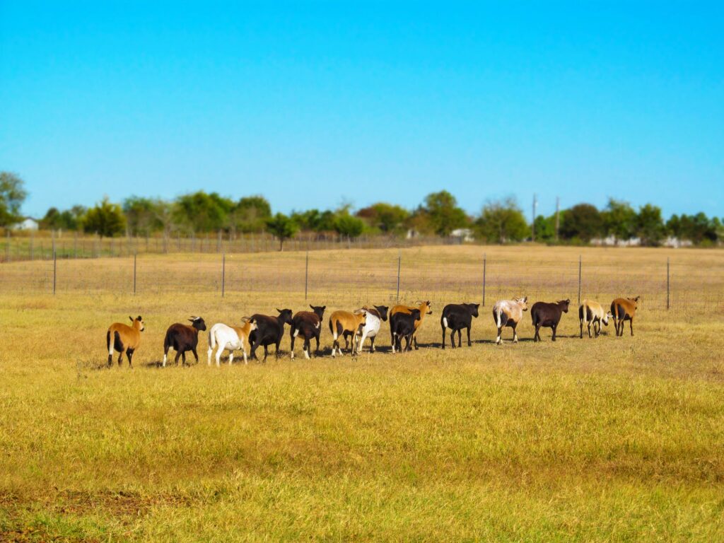 Les agriculteurs se préparent à une autre année difficile
