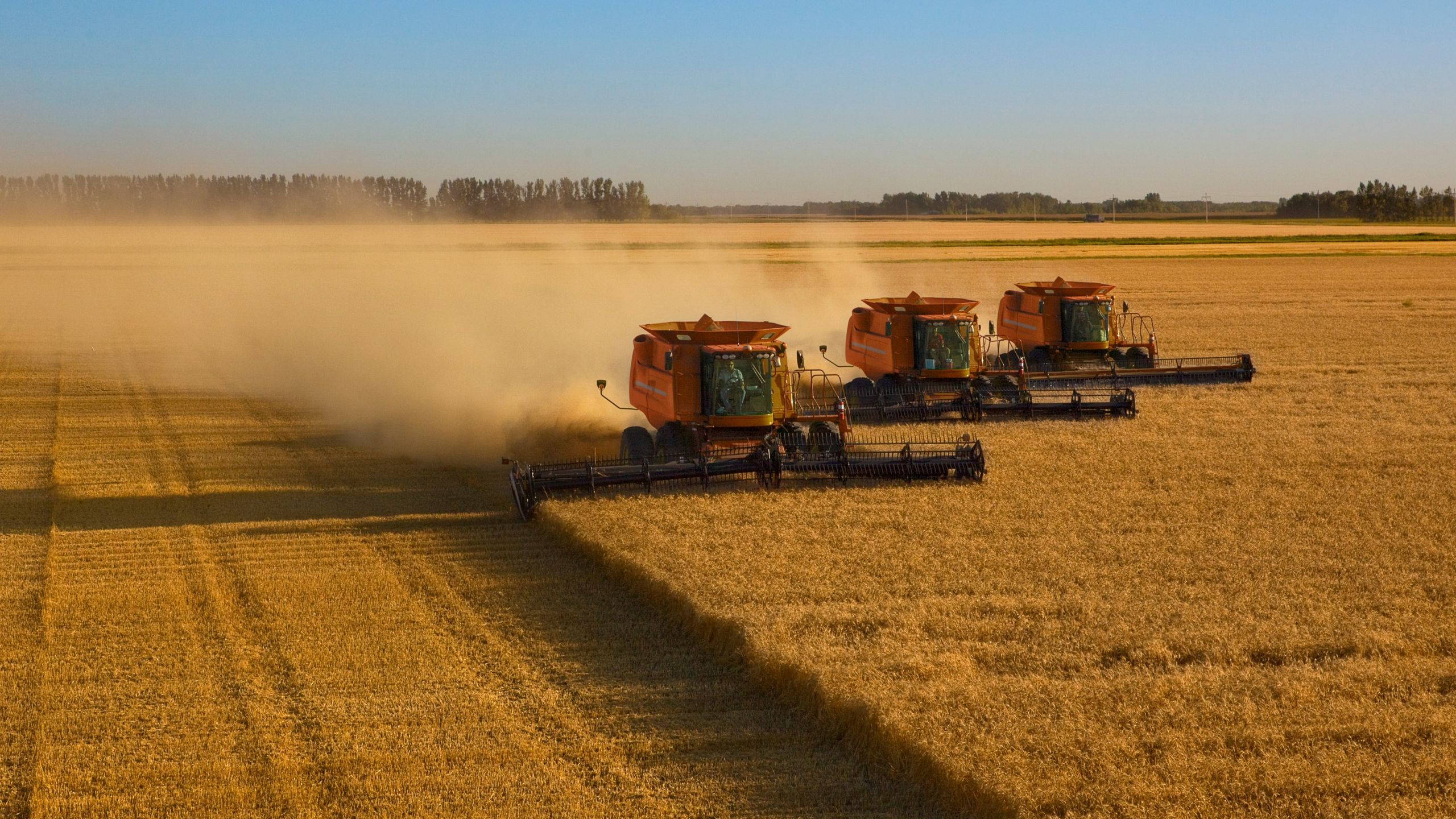 Investir dans les terres agricoles : un actif rare à fort potentiel