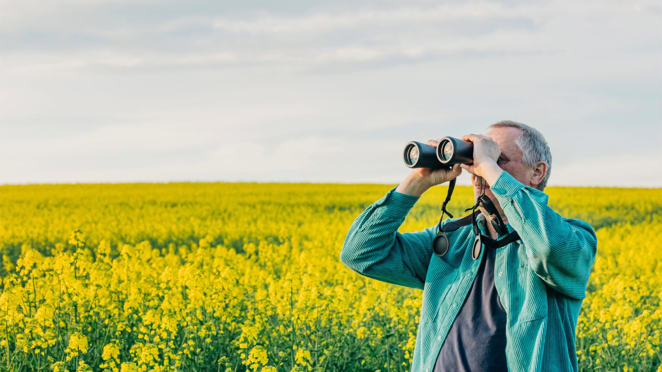Vous recherchez des conseils financiers ? Commencez par cette question