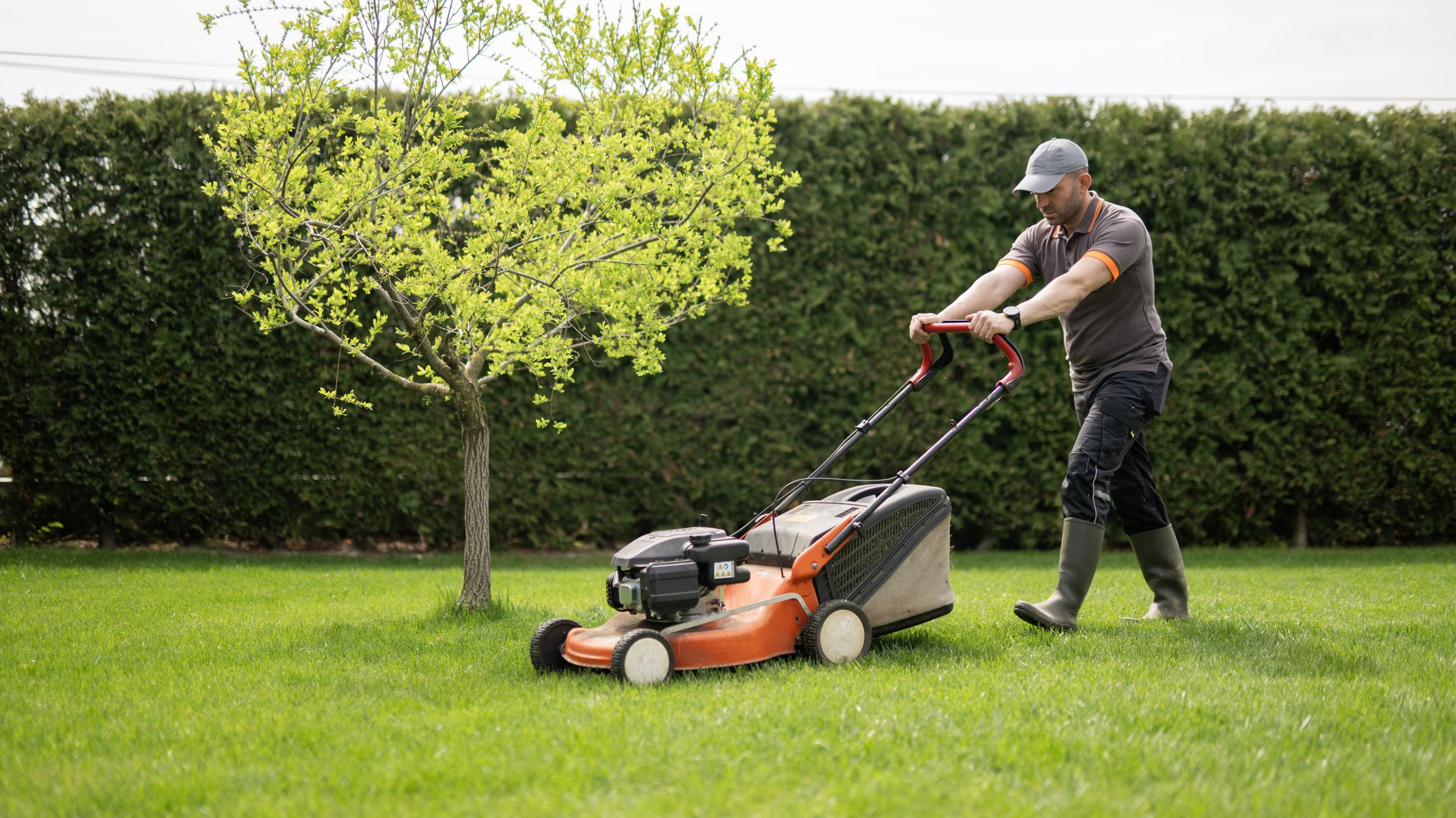 Jardinier utilisant une tondeuse à gazon pour maintenir une herbe propre et saine dans la cour.