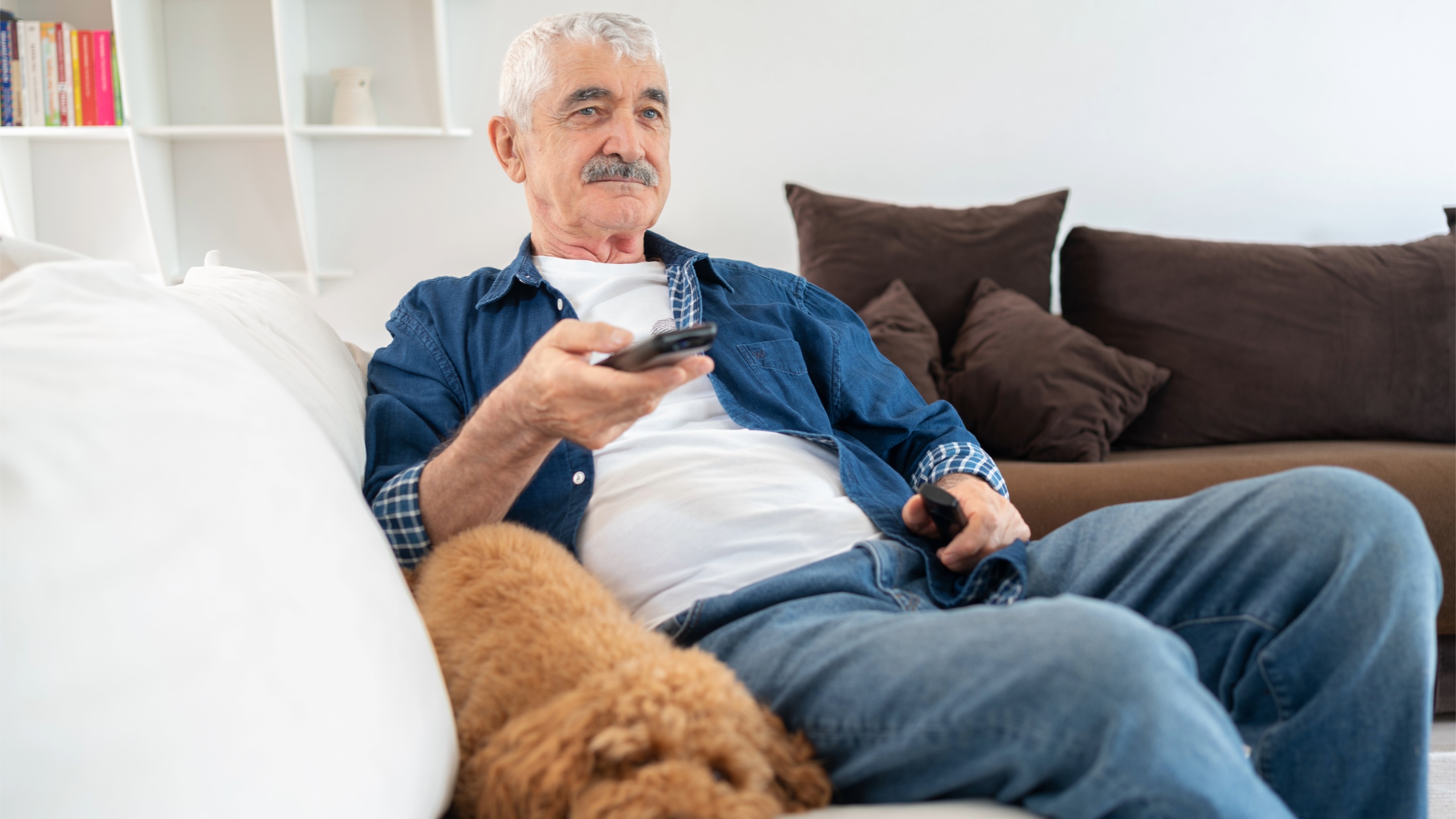 Homme regardant la télévision tenant la télécommande sur un canapé avec un chien
