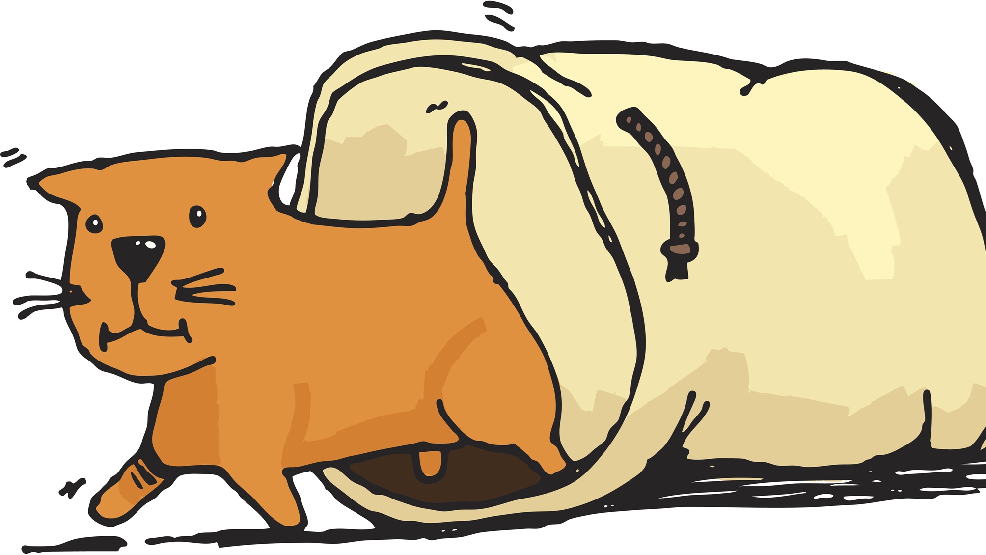 Une illustration d’un chat sortant d’un sac.