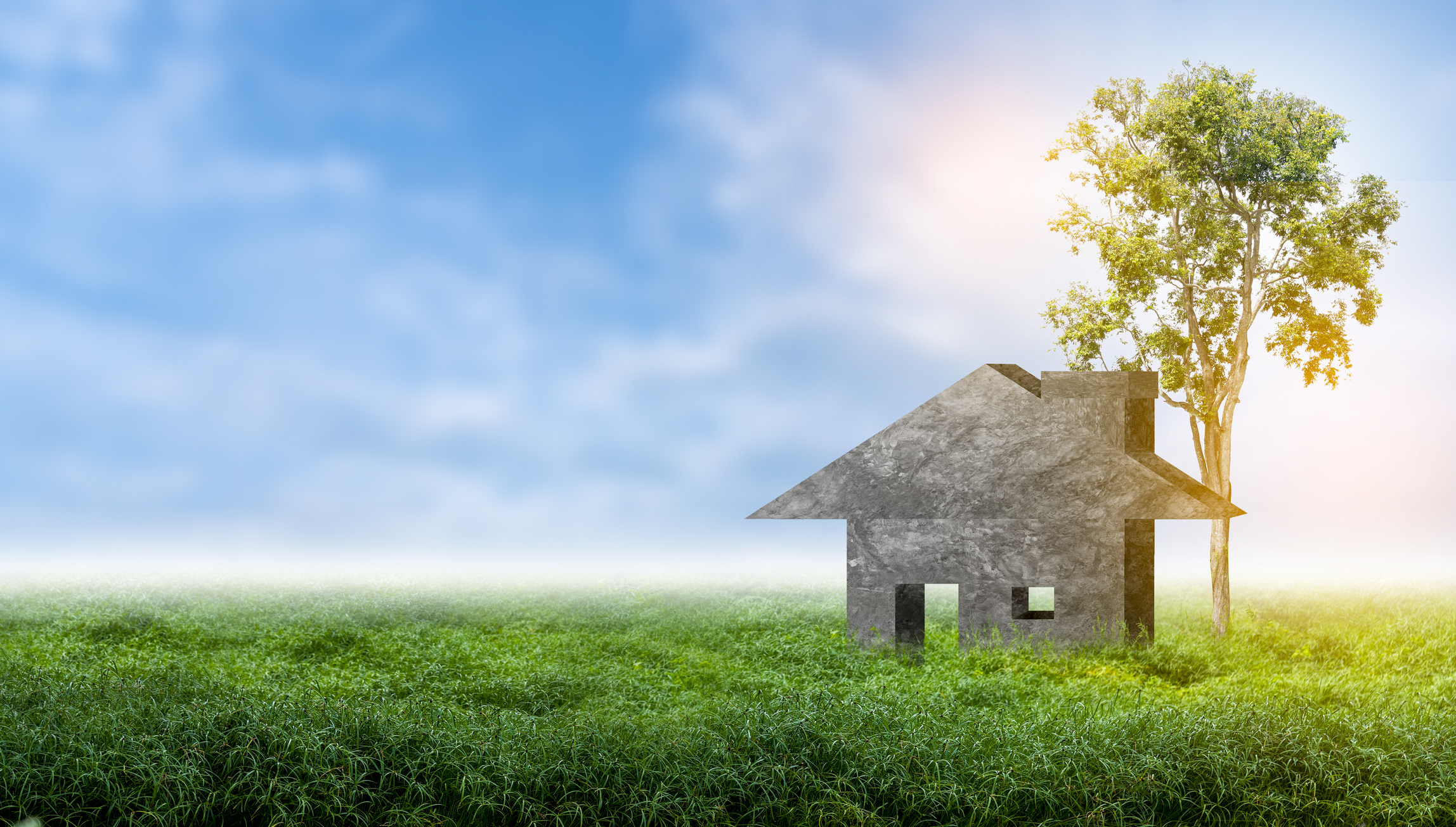 Maison avec des finances sur l'herbe et des arbres vert vif.