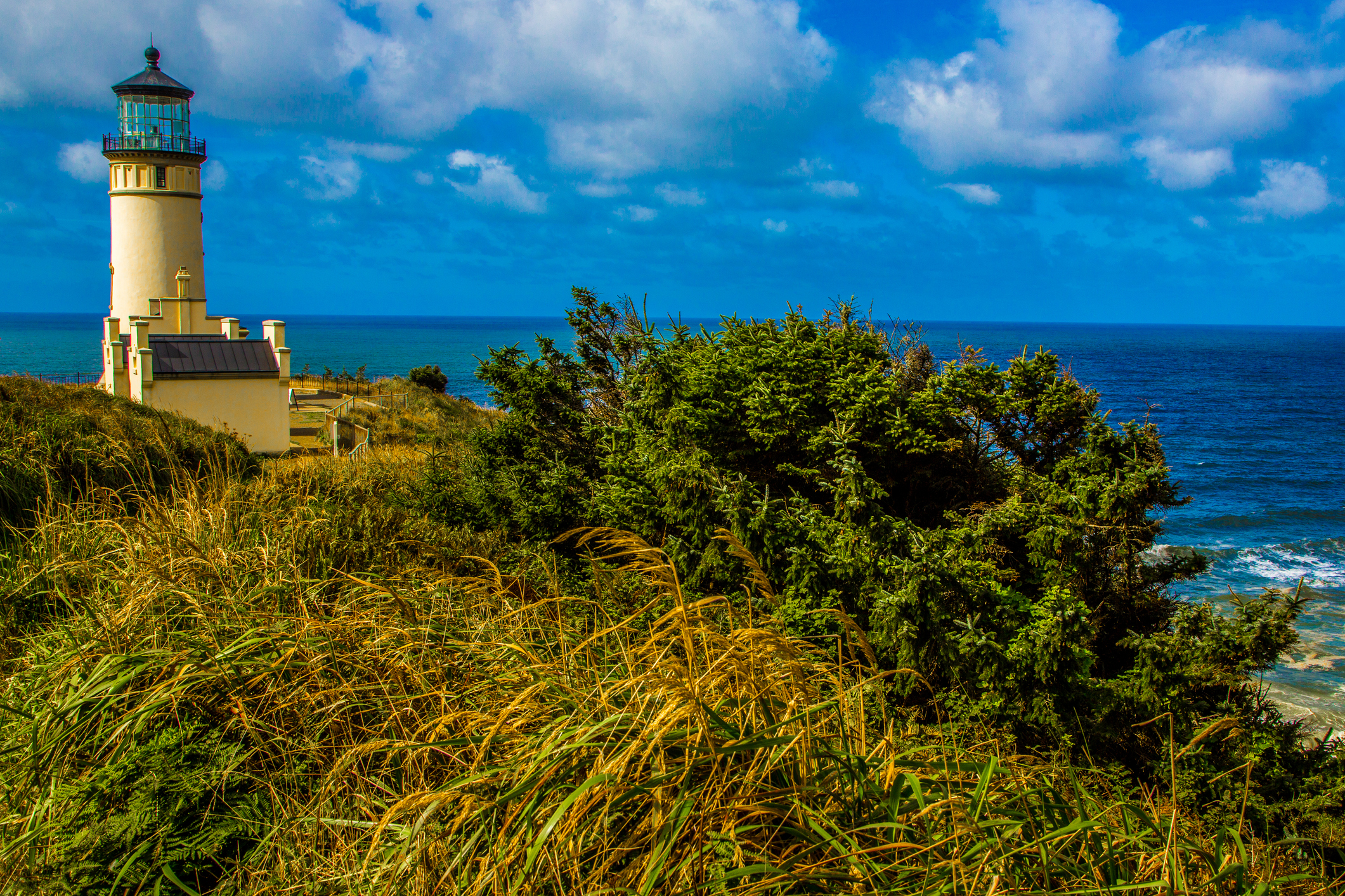 Le phare de North Head à Cape Disappointment, sur la côte Pacifique de l'État de Washington, se dresse sur fond de ciel bleu vif et sa structure surplombe l'océan Pacifique.