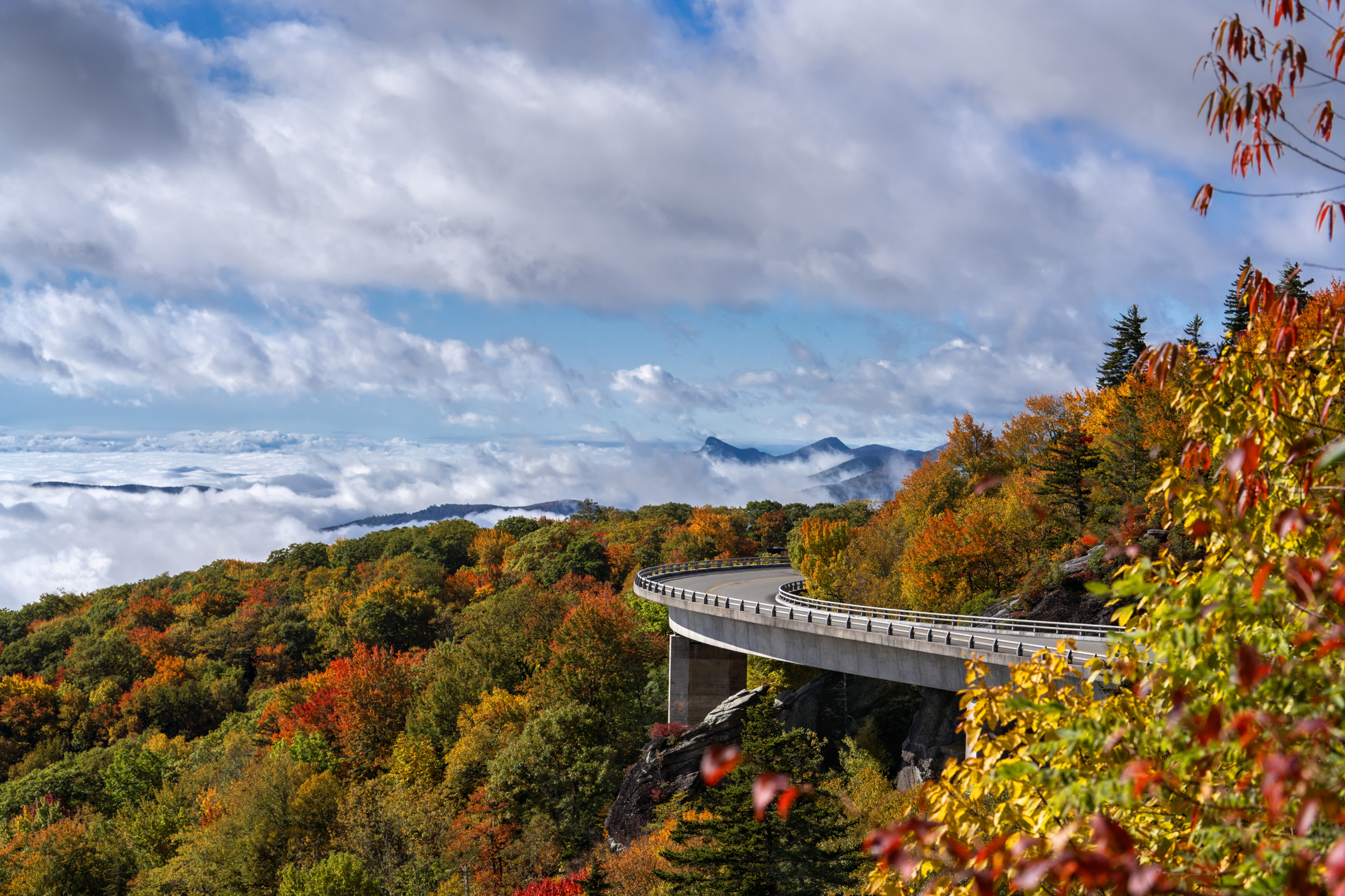 Viaduc de Linn Cove sur Blue Ridge Parkway dans la forêt de feuillage d'automne. Près d'Asheville, Blue Ridge Parkway, Caroline du Nord, États-Unis.