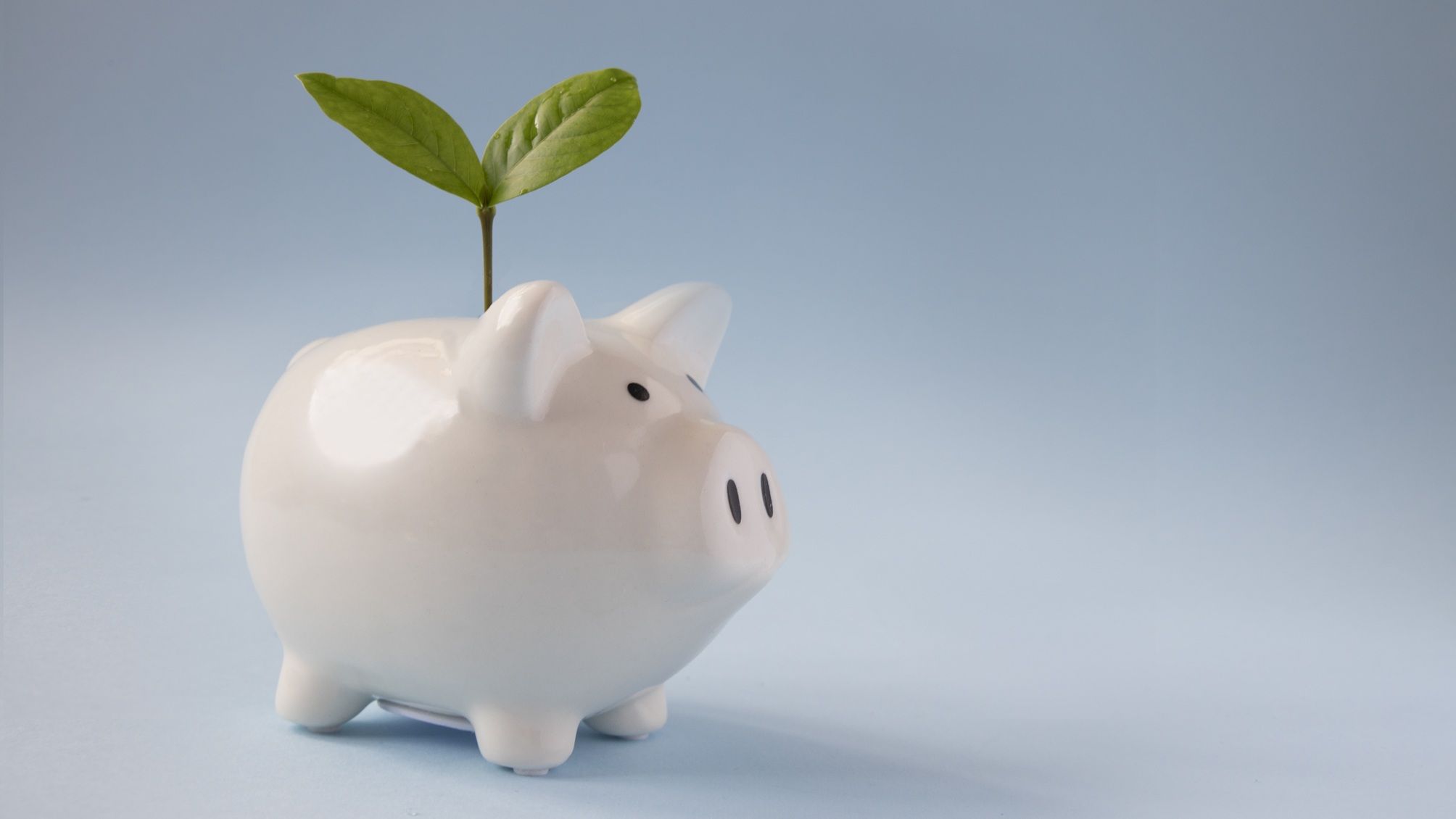 Au-delà du portefeuille 60/40 : où un professionnel investit aujourd'hui