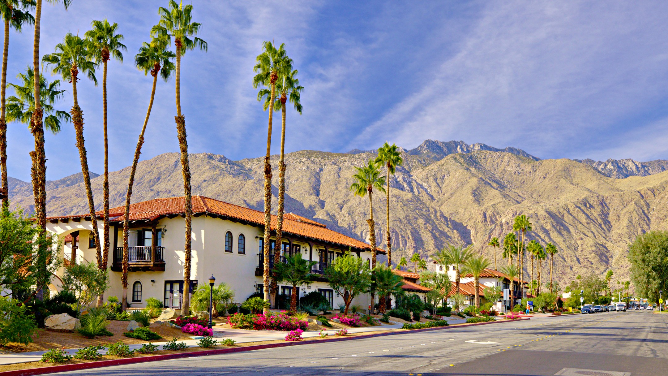 Palm Springs. Rue de banlieue avec palmiers.