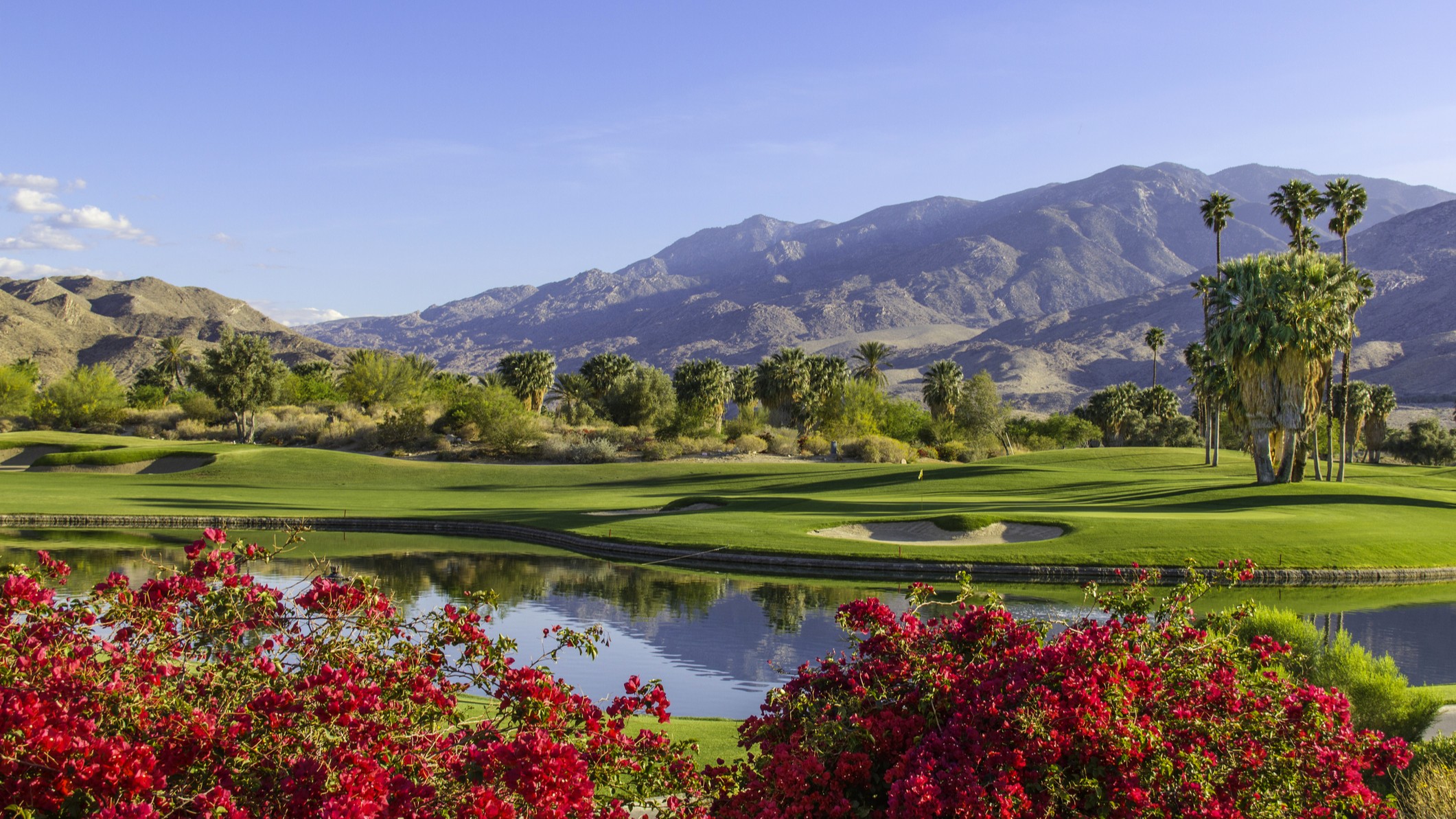 La lumière du soleil estivale projette une lueur chaleureuse sur un parcours de golf et des bougainvilliers à Palm Springs, en Californie.