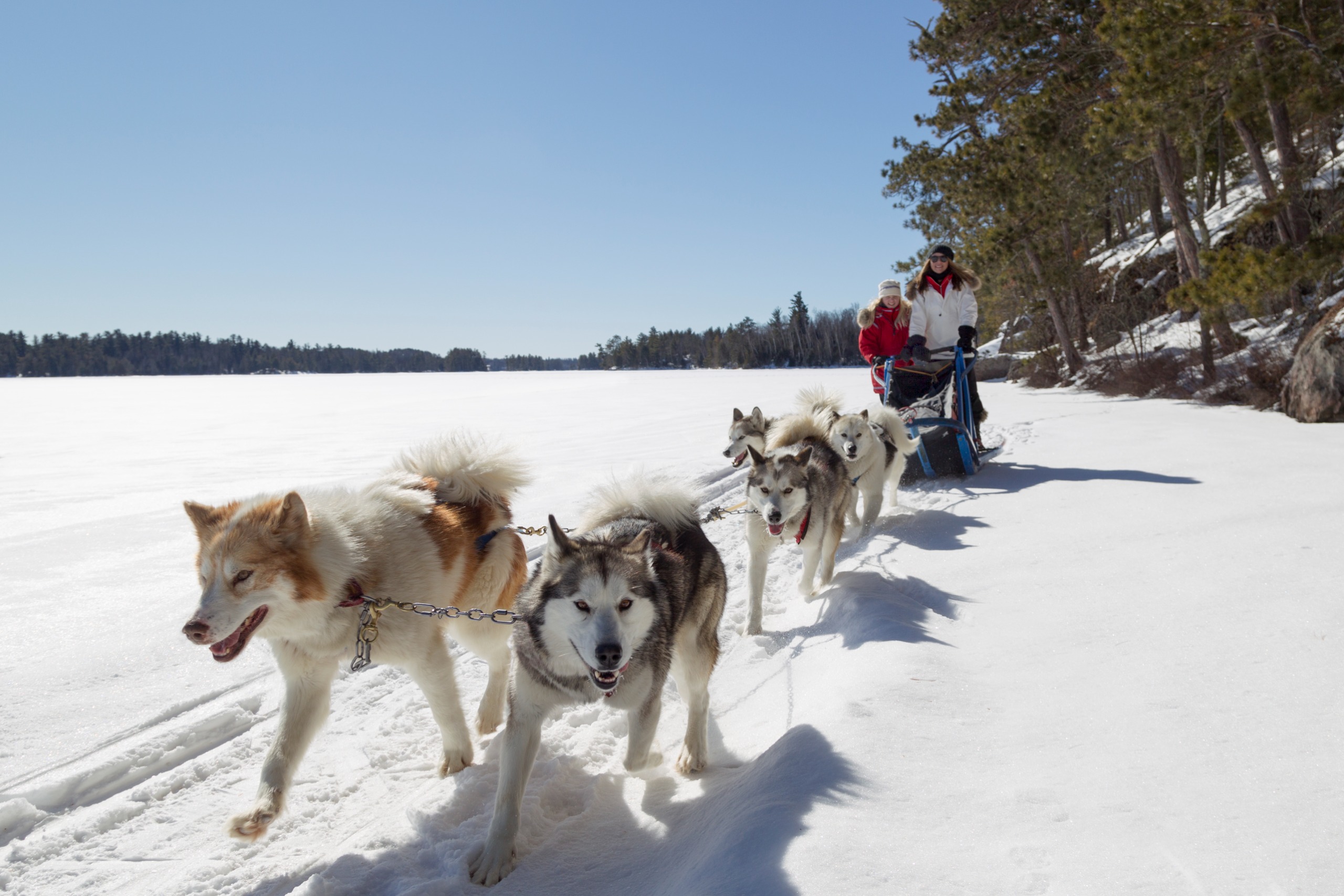 Une mère et sa fille font du traîneau à chiens dans le Minnesota.