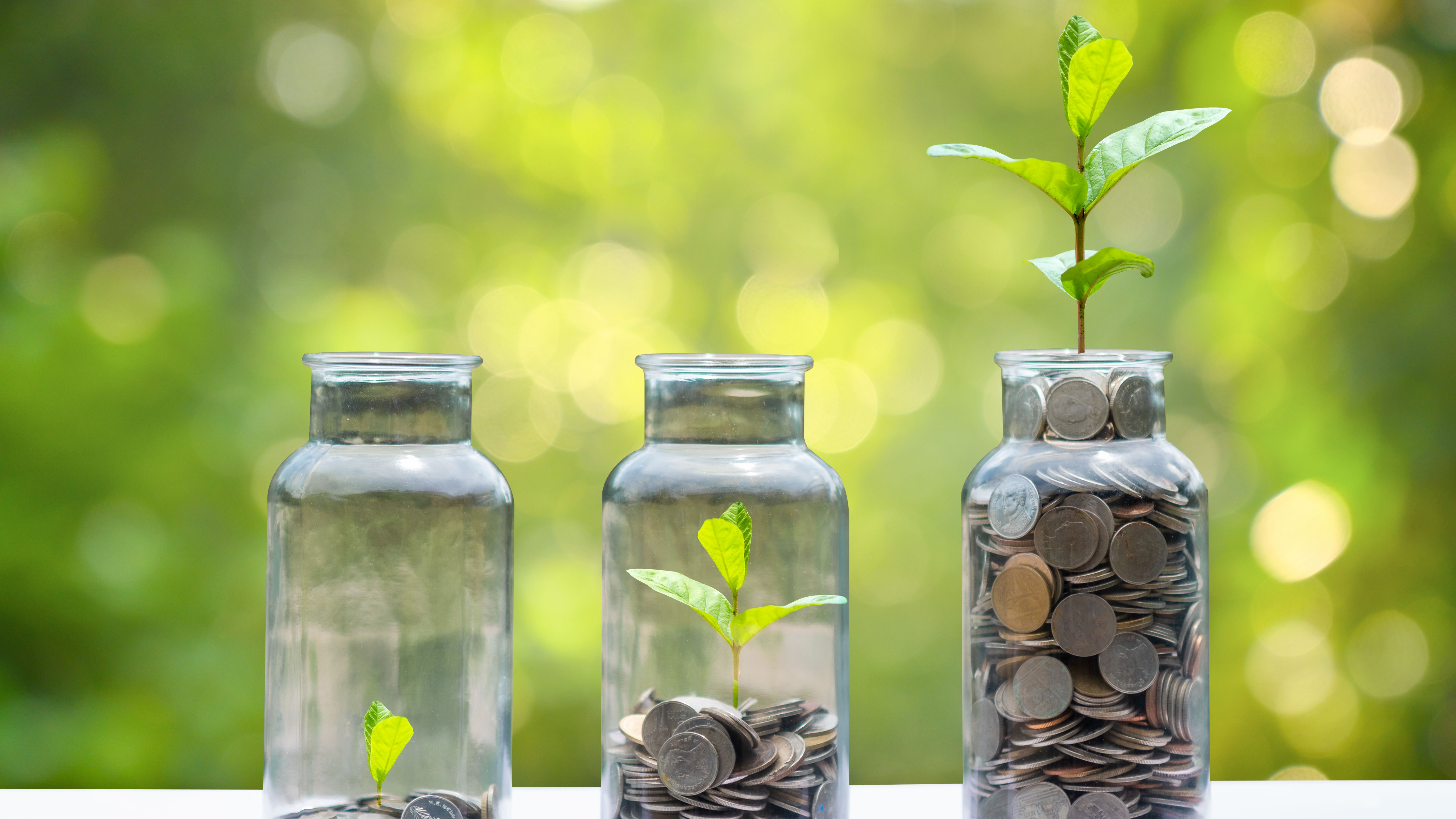Trois pots avec des plantes en croissance et des pièces de monnaie signifiant des taux d'épargne.