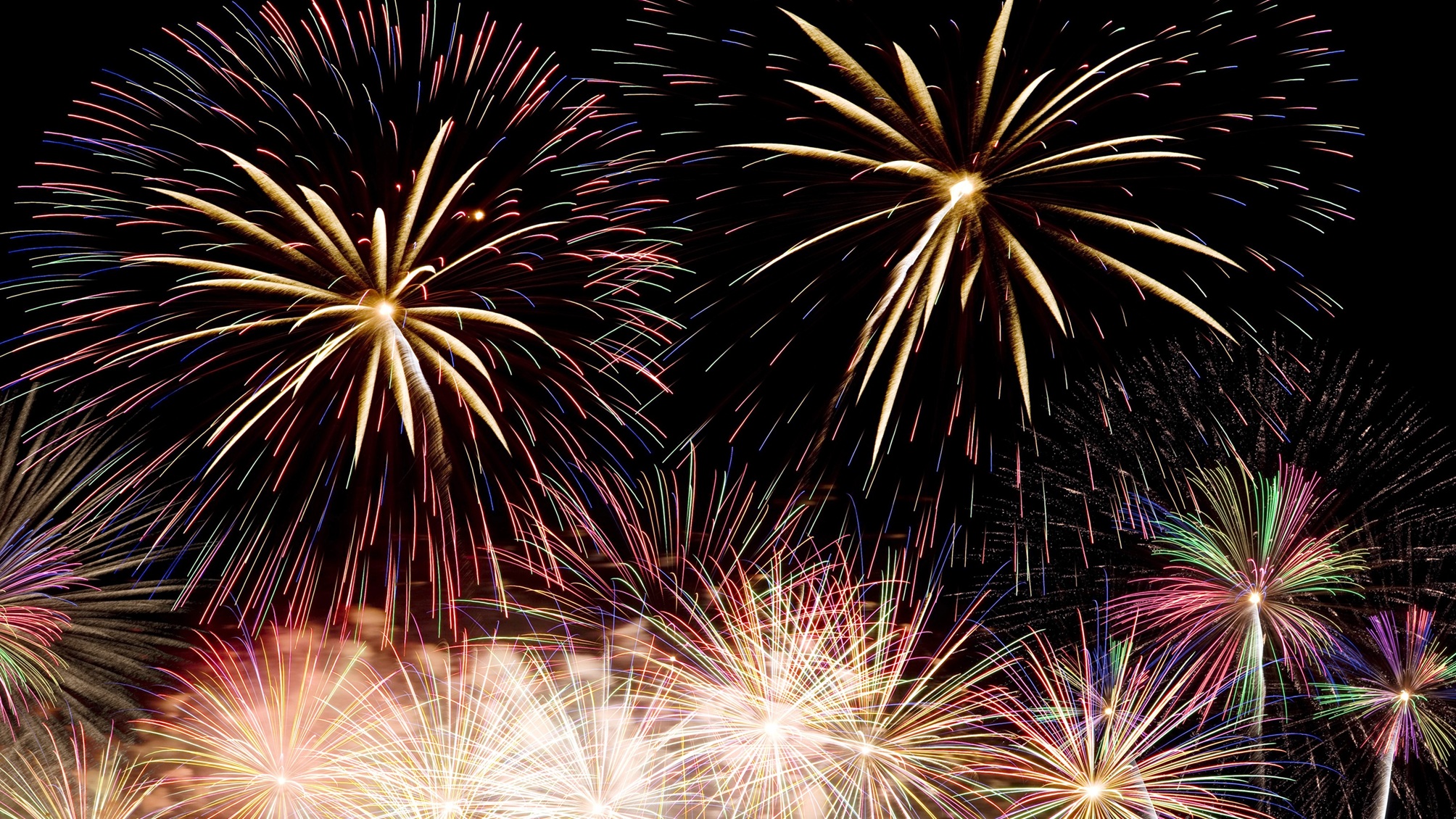 Un feu d'artifice se déclenche.
